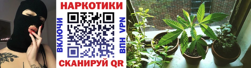 Где найти наркотики Троицк Марихуана  Мефедрон  APVP  Метамфетамин  Кокаин  ГАШ 