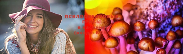 мескалин Абаза