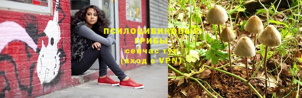 стафф Алзамай