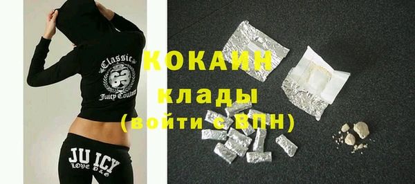 молекула духа Алексин