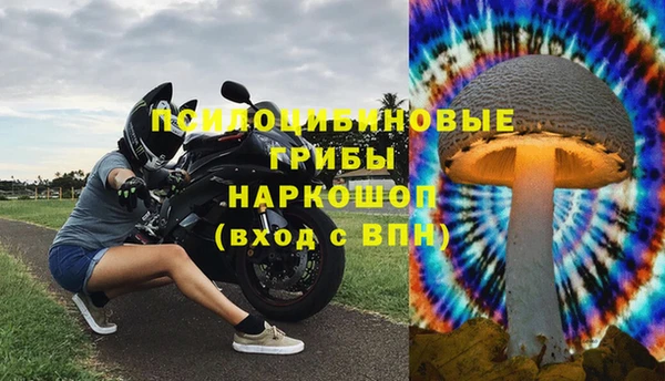 стафф Алзамай