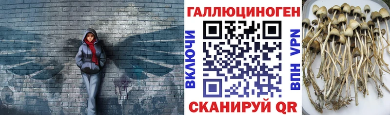Псилоцибиновые грибы GOLDEN TEACHER  Троицк 